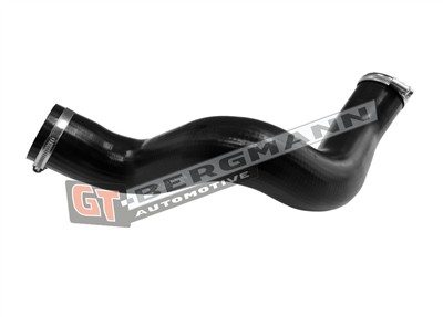 GT BERGMANN GT52-802 EAN: 5907764531342.